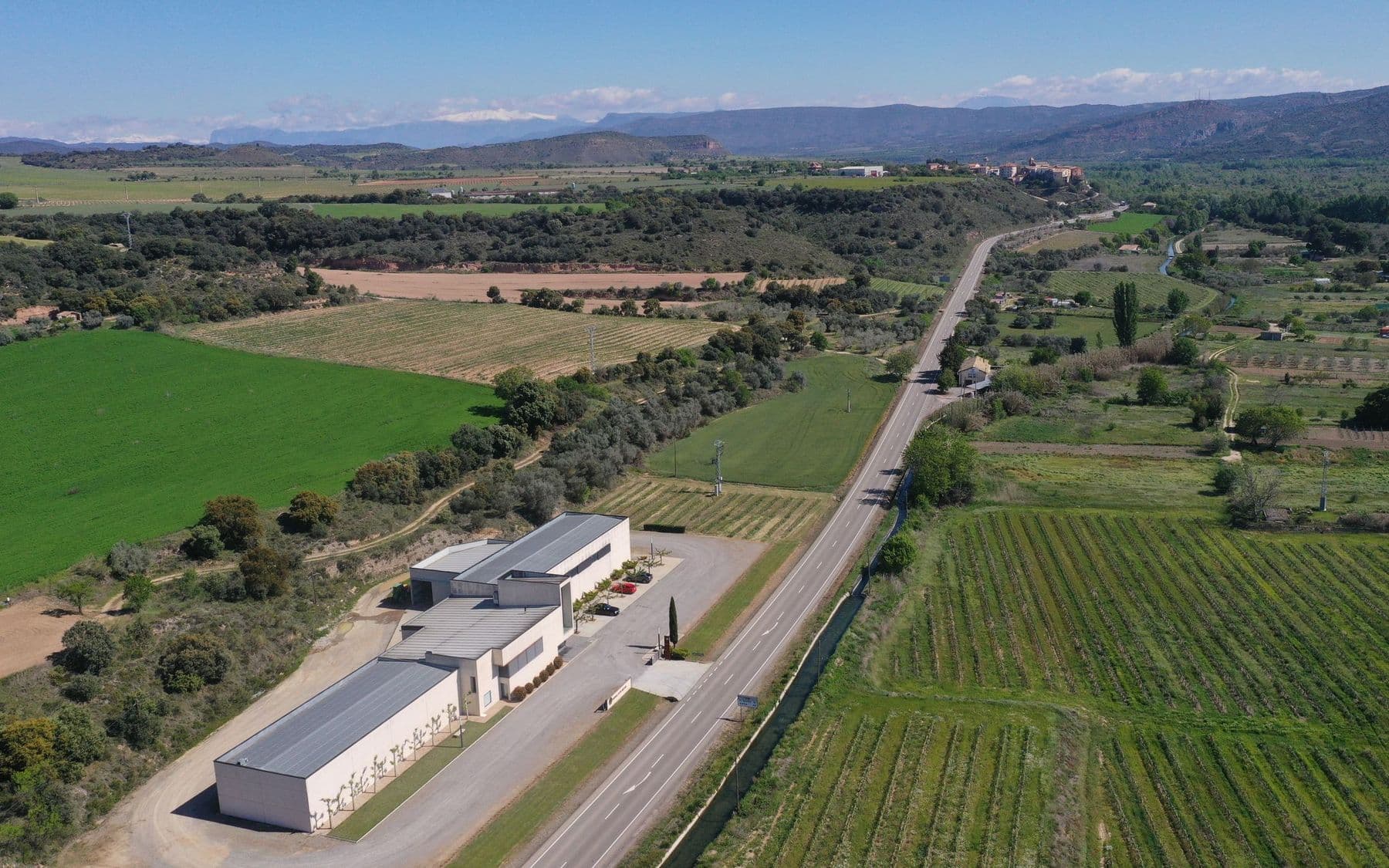 La bodega propia